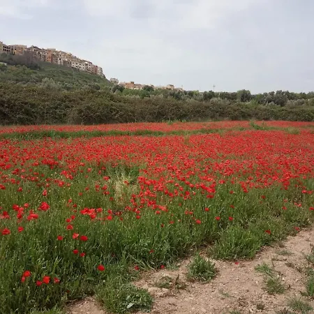 Els Ports D'horta Horta de Sant Joan