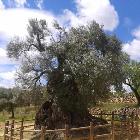 Els Ports D'horta *